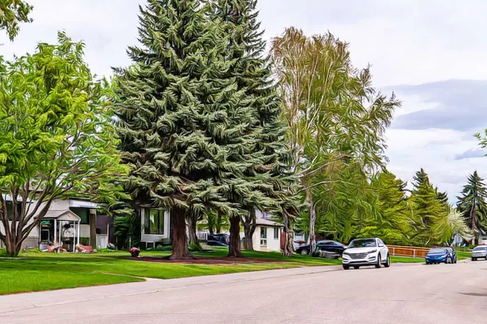 forest-lawn-neighbourhood-guide-calgary-inthehood.io-thumb